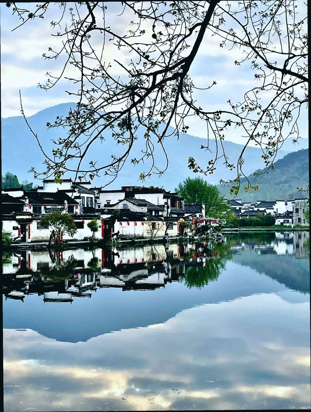 安徽宏村黃山|清明三天出行攻略