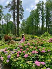 救命！！在武漢誤闖愛麗絲仙境花園💐實況live美到窒息😭
