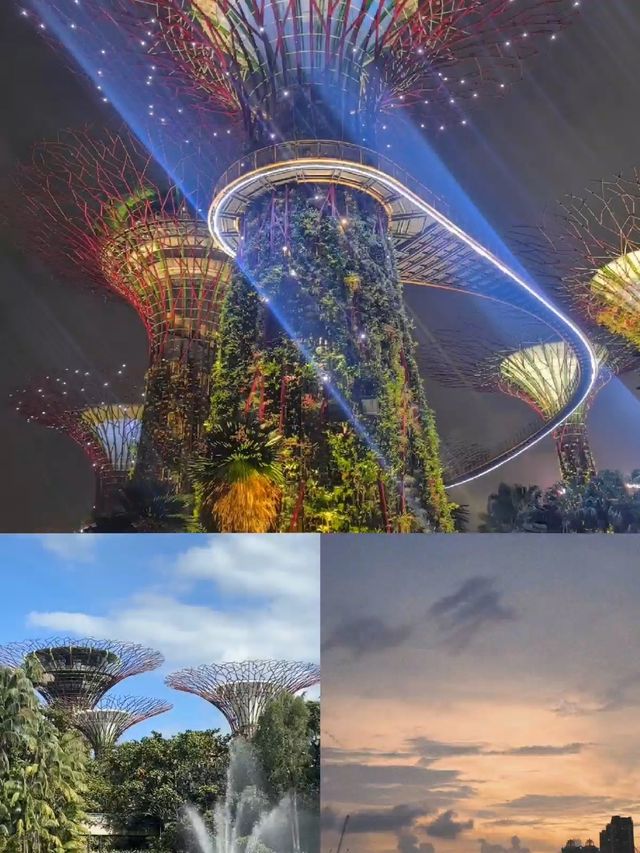 剛從新加坡返嚟，講啲真心話！保姆級旅遊攻略