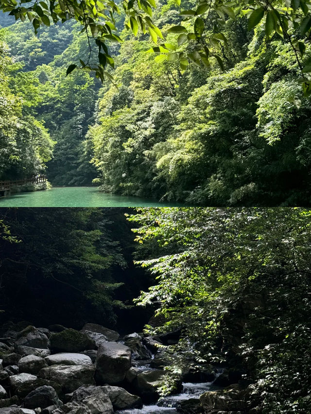 重庆南川·金佛山西坡遊玩攻略