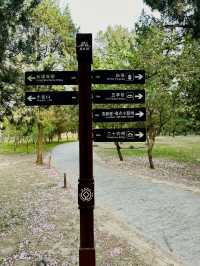 Slender West Lake Vibe- Yangzhou! 