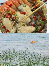 睇海食海鮮，吹住海風傾偈