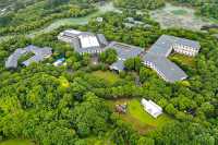 上海限定｜夏日住進莫奈花園，出片率100%