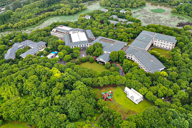 上海限定｜夏日住進莫奈花園，出片率100%