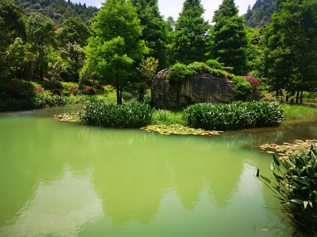 吸氧洗肺避暑勝地！玩轉5A級峽谷秘境