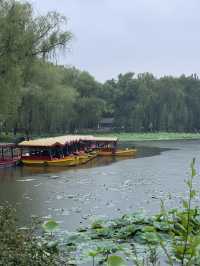 雨中漫步圓明園