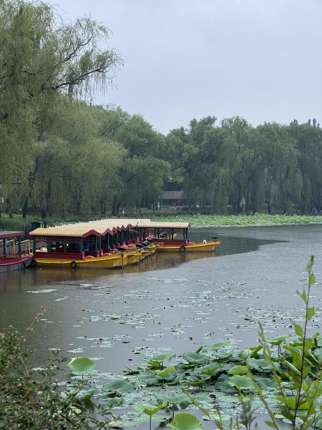 雨中漫步圓明園