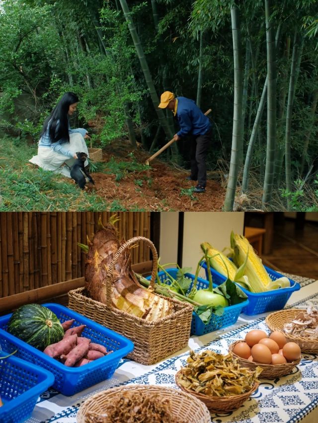 2小時隱入山林療癒，獨享絕佳觀景地，回歸山野生活