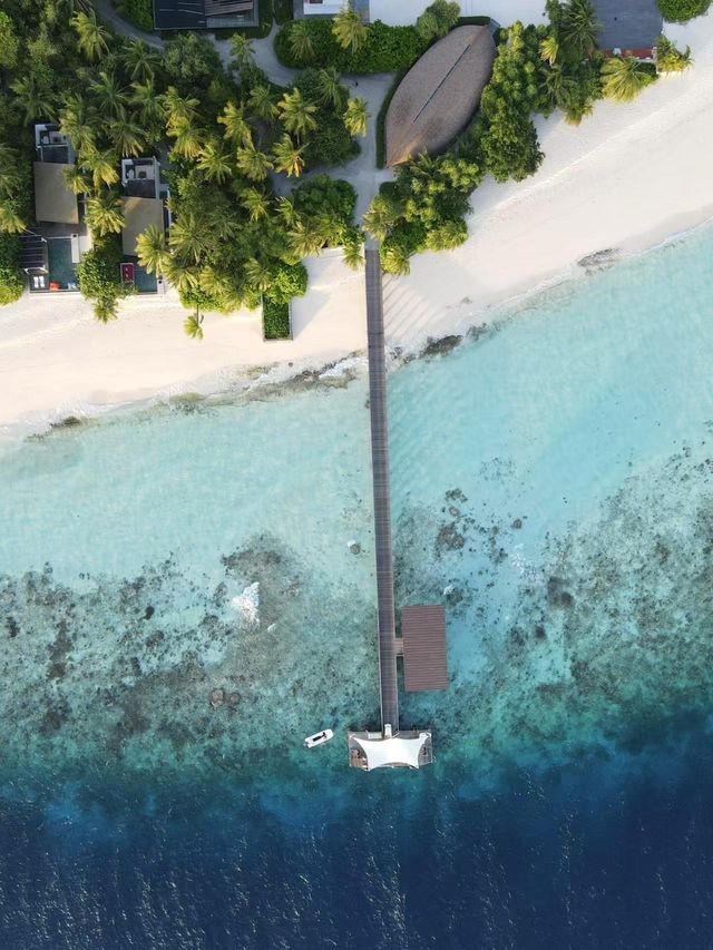 赤道秘境/浮潛天堂柏悅哈達哈