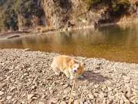 51Camp富陽山水營地 | 江浙滬逃離計劃