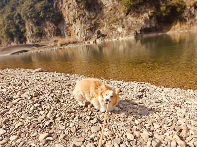 51Camp富陽山水營地 | 江浙滬逃離計劃