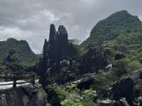 Jade stone forest 