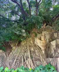 廈門大埕公園，治癒系打卡