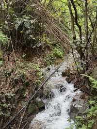 尖峰嶺森林公園，湖南郴州嘅天然氧吧