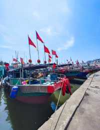 瓊海·潭門跨越時空，邂逅千年漁港之美  
瓊海潭門鎮，與博鰲一水相鄰，最著名的莫過於這裡剛捕撈上岸