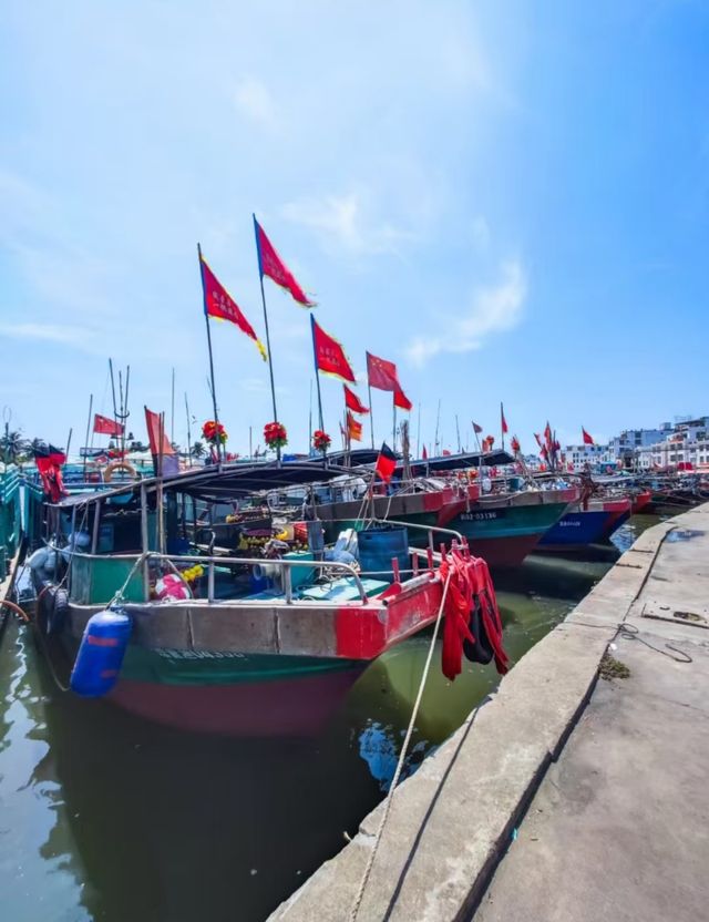 瓊海·潭門跨越時空，邂逅千年漁港之美  
瓊海潭門鎮，與博鰲一水相鄰，最著名的莫過於這裡剛捕撈上岸