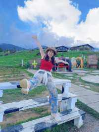 馬來西亞｜亞庇追逐絕美日落