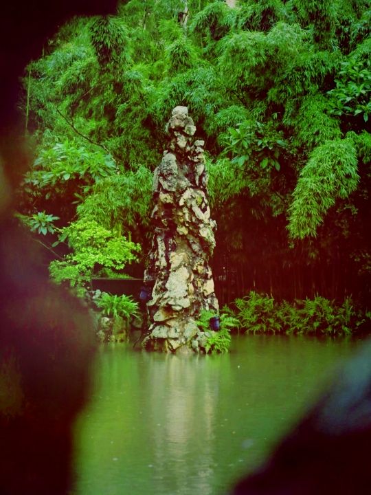 여름날의 낭만, 마카오 노렴약공원(盧廉若公園)에서 즐기는 힐링 타임​