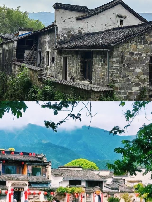 查濟已回，講啲難聽嘅大實話