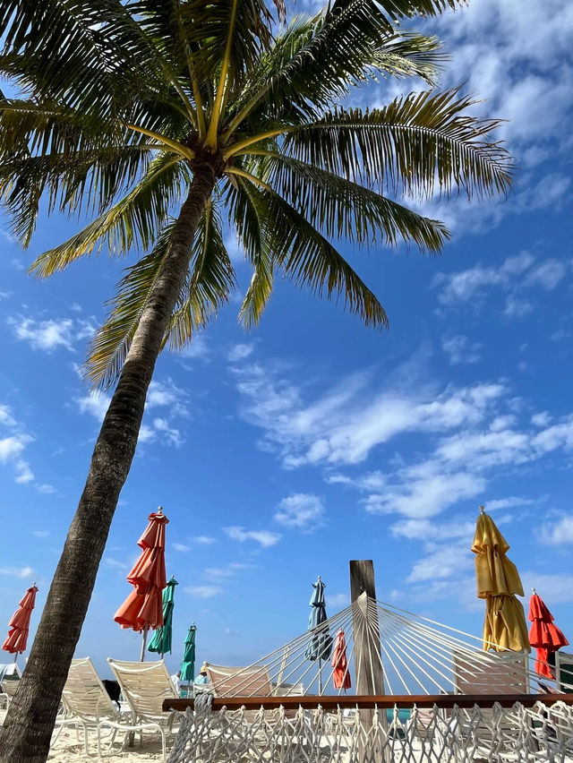 🚢 迪士尼郵輪加勒比海親子之旅回顧✨