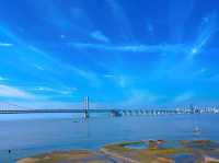 大連7月暴走指南：海鷗追帆船，夜市啃海鮮，治癒值爆表