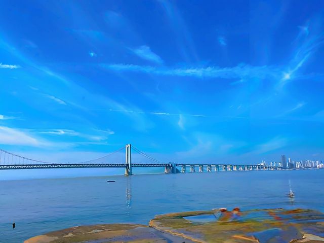大連7月暴走指南：海鷗追帆船，夜市啃海鮮，治癒值爆表