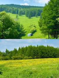 阿爾山旅遊攻略：邂逅北疆嘅夢幻之境