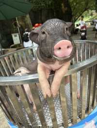 2025年暑假深圳野生動物園避坑指南