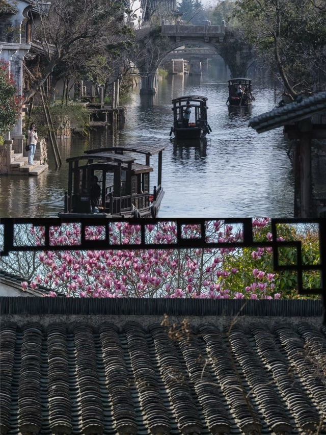 跟住乾隆遊江南！嘉興鹽官古城一日漫遊攻略
