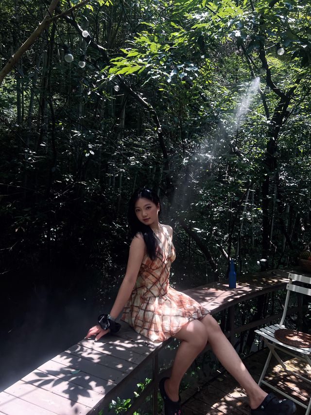 穿越魔法森林！丁達爾光線下的森系秘境太絕了