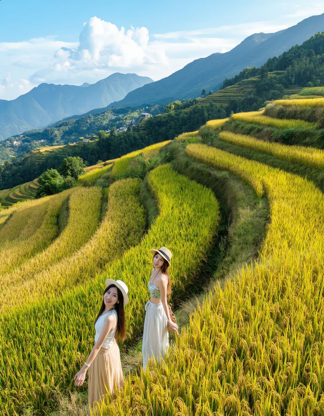 雲和梯田：雲端上的千層天梯 
