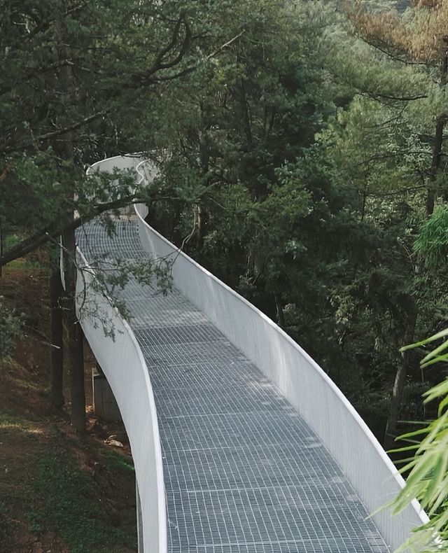 雲南人骨子裡的浪漫| 愛心步道