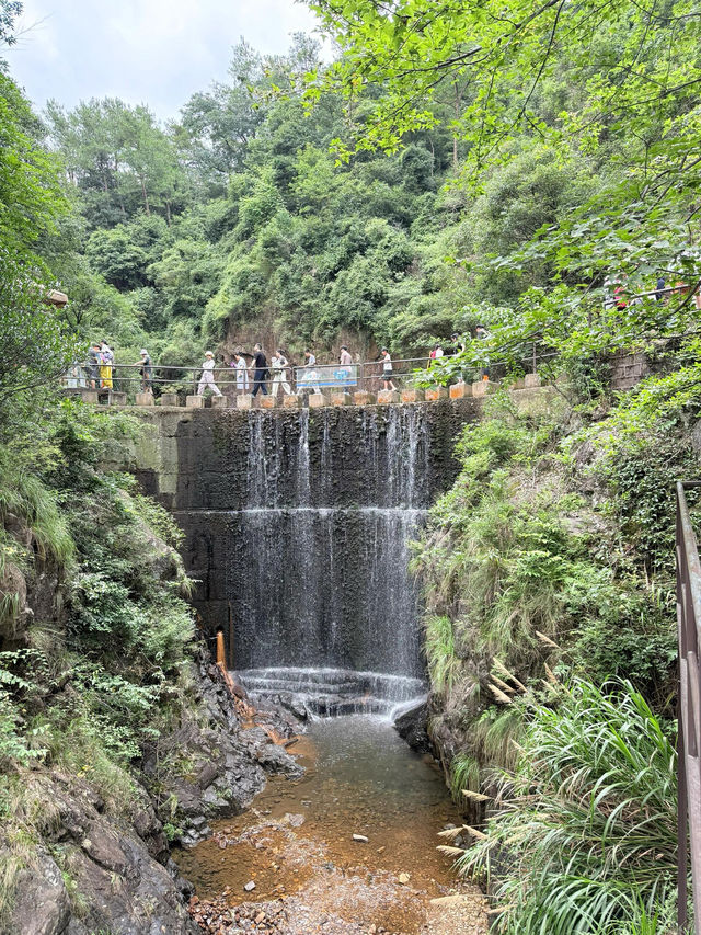上海出發週末2日1夜玩桐廬｜大奇山必衝馬嶺古道勸退