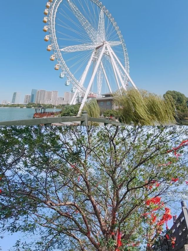 鎮江圌山天沐溫泉，冬日裡嘅溫暖天堂！