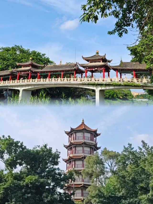 藏唔住啦！深圳隱世龍園，99%嘅人都唔知