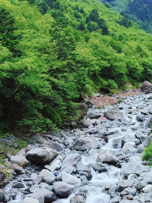 19℃喇叭河,暑期湊B親子友善,性價比超高! 19℃喇叭河,暑期湊B親子友善,性價比超高!