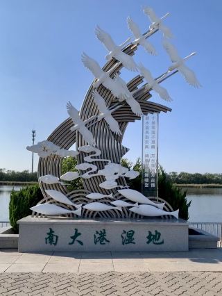 南大港濕地｜蘆葦搖曳的水上詩篇
