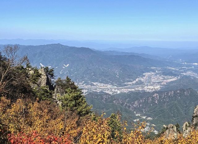 老君山遊玩指南！雲海、紅葉、道教聖地，一鍵解鎖人間天堂！