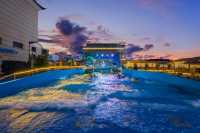 重生之我和室友攢了半個月零用錢來大理旅遊