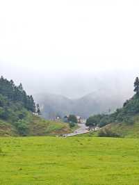 重慶仙女山，邂逅南國草原，探秘原始森林