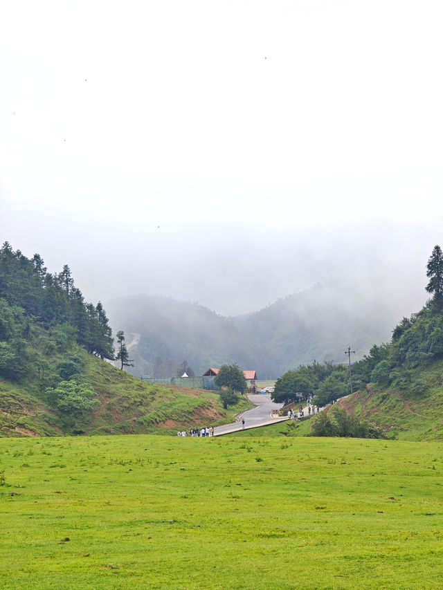 重慶仙女山，邂逅南國草原，探秘原始森林
