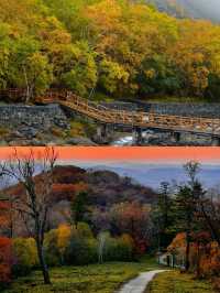 國慶去長白山，比日本紅葉更震撼，人少景美！