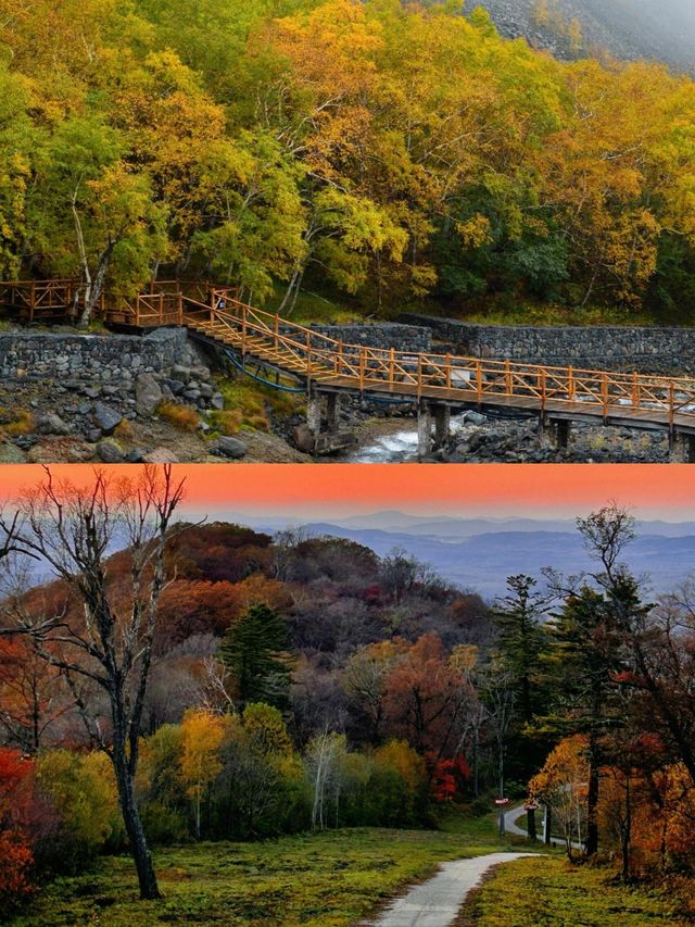 國慶去長白山，比日本紅葉更震撼，人少景美！