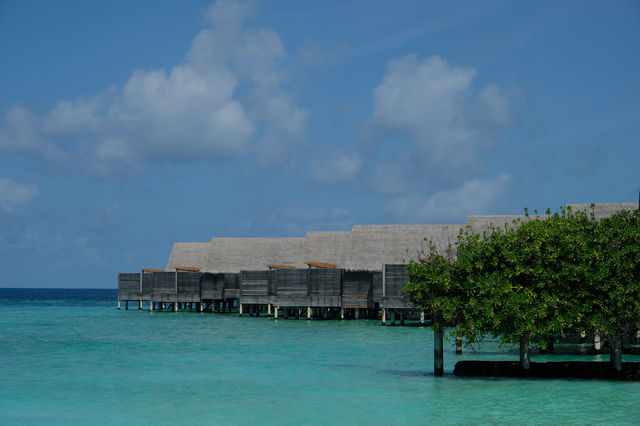 Unforgettable Experience at Milaidhoo