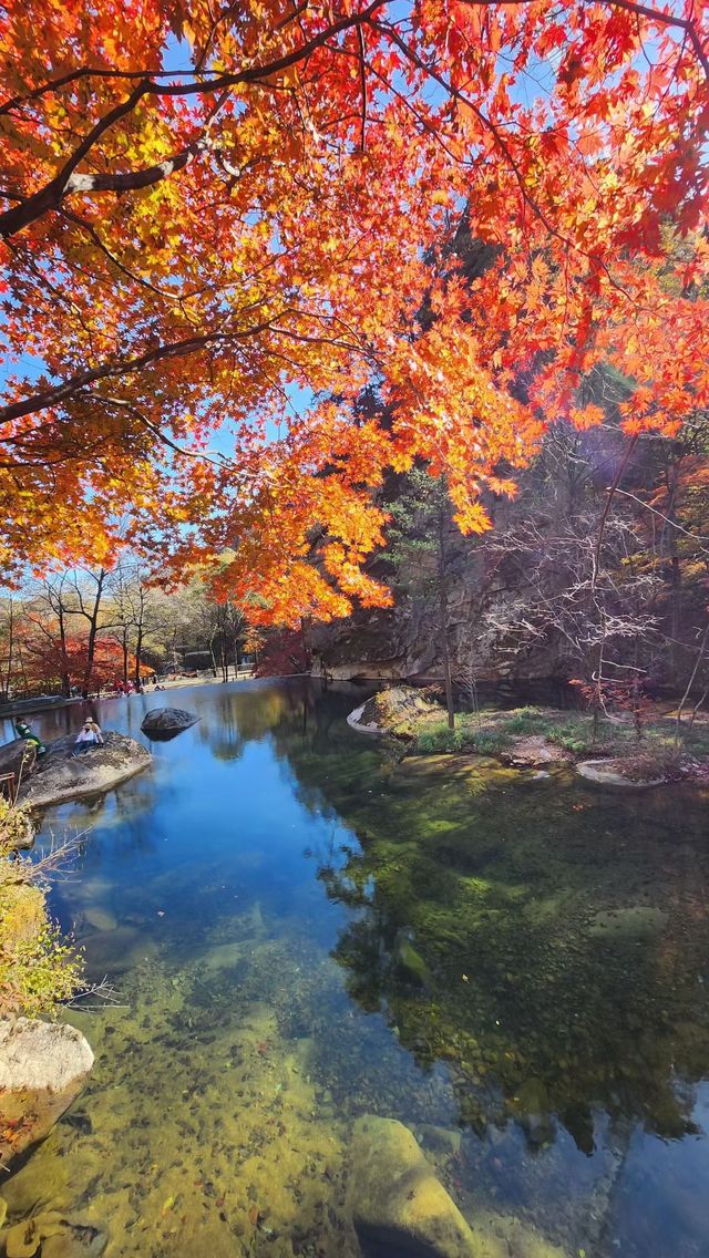 遼寧私藏的賞楓寶地！響水寺原始秋色驚豔整個十月