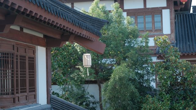 這家民宿不僅住宿絕，茶室更絕！