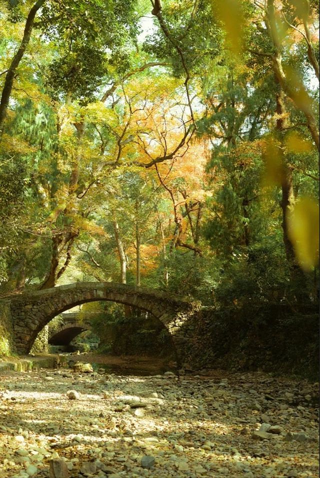 10月來天台山賞秋