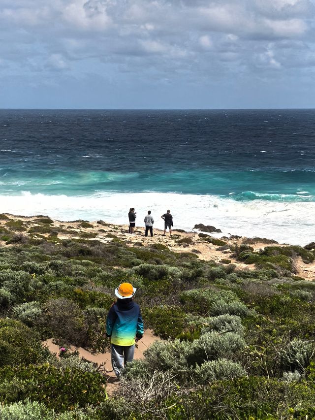 西澳D2:Cape Naturaliste懸崖海景