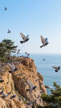 河北3天2晚·3000元玩轉「京畿秘境」的文化輕旅行