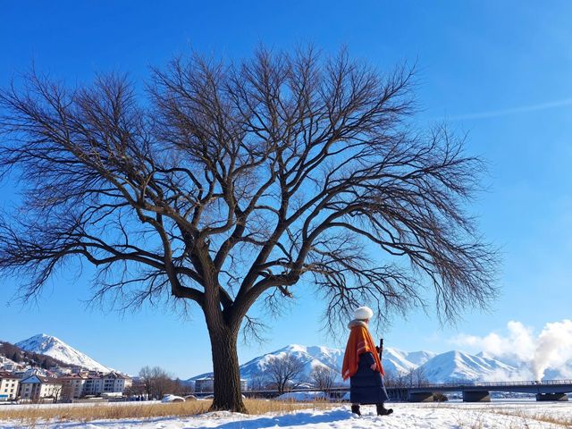 雪後嵩山美到窒息！冬日仙境打卡全攻略
